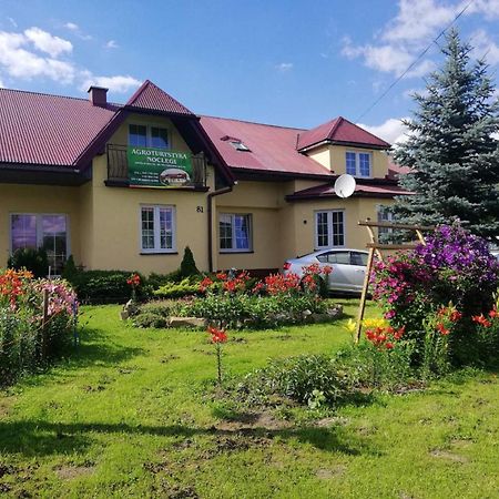 Villa Agrokrysia Kroscienko Esterno foto